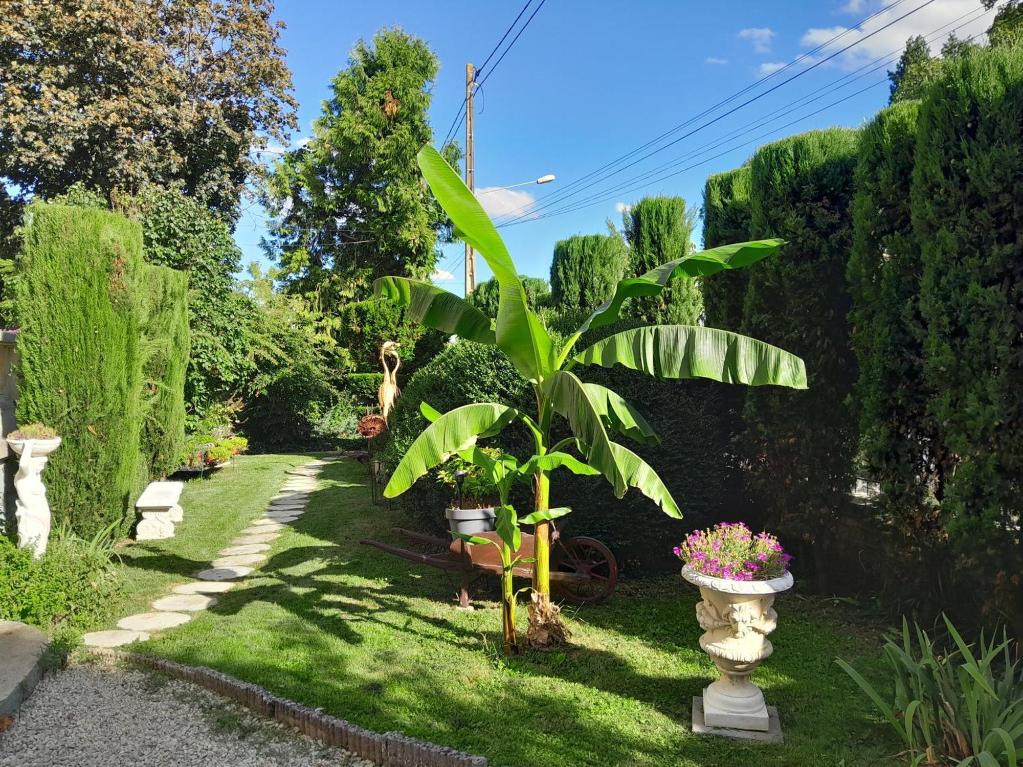 Le Madrigal Bed and Breakfast Mamers Exteriör bild